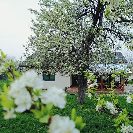 Къща За Гости Софаш Stoevtsi Exterior photo
